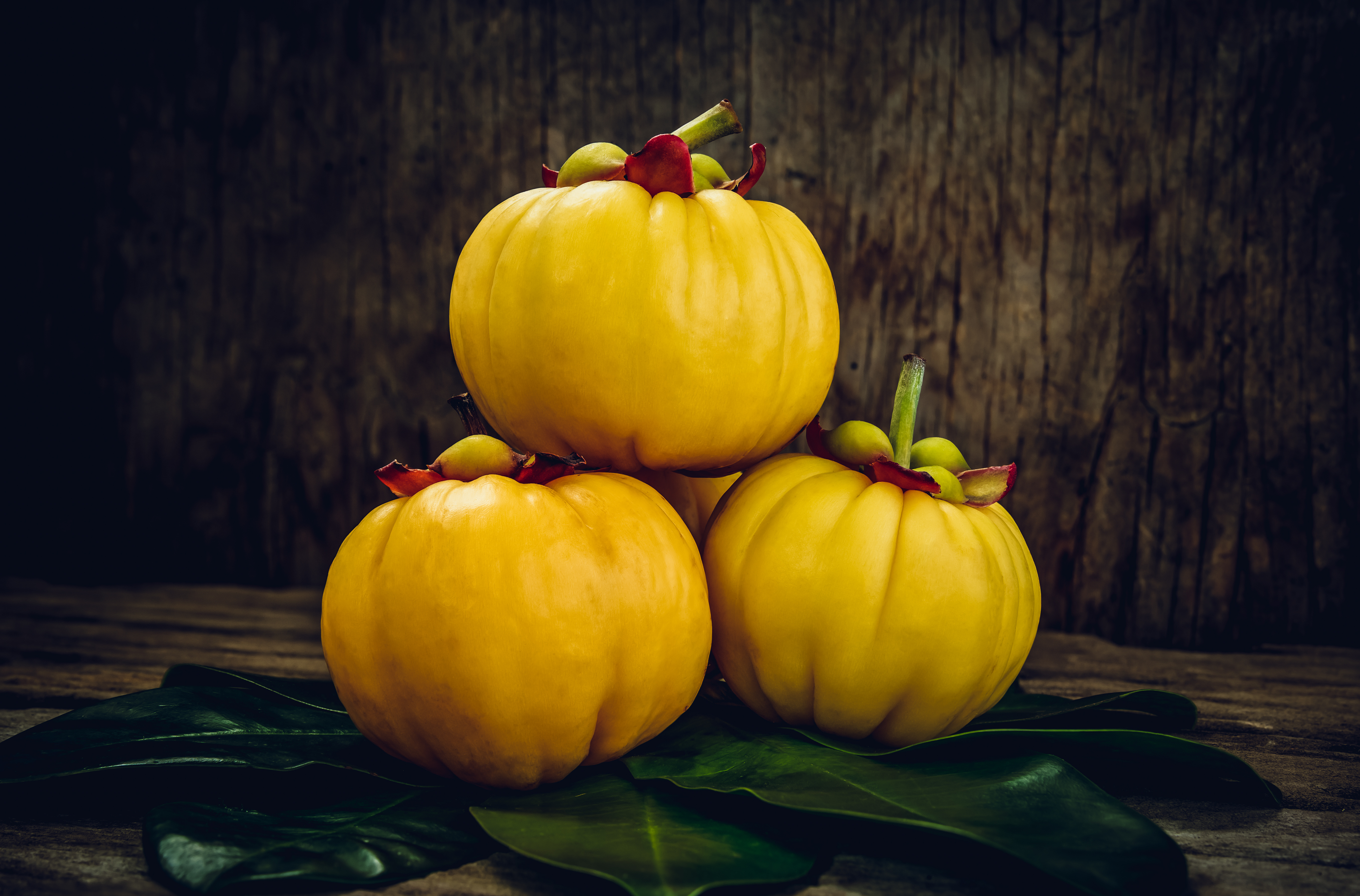 HELLO MEGA METABOLISM